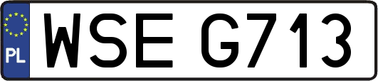 WSEG713