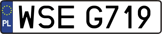 WSEG719