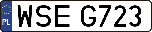 WSEG723