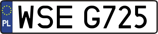 WSEG725