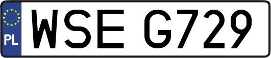 WSEG729