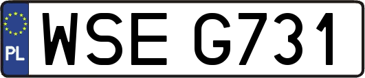 WSEG731