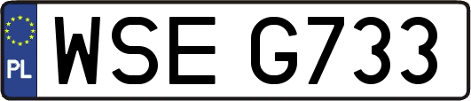 WSEG733