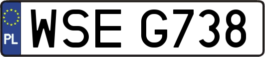 WSEG738