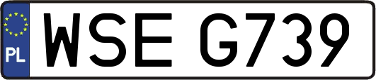 WSEG739