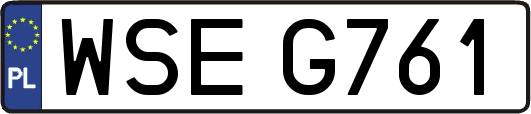 WSEG761