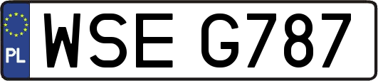 WSEG787