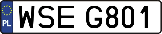 WSEG801