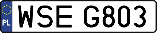 WSEG803