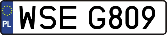 WSEG809