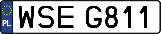 WSEG811