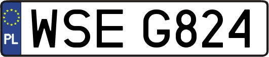 WSEG824