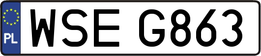 WSEG863