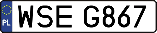 WSEG867