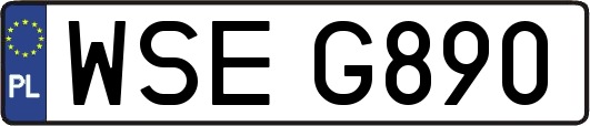 WSEG890