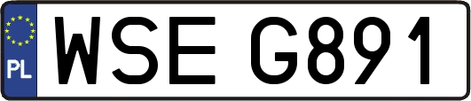 WSEG891
