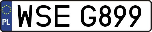 WSEG899