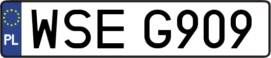 WSEG909