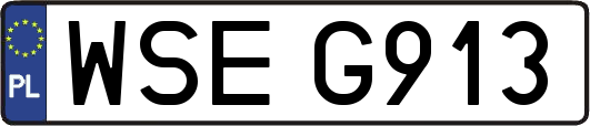 WSEG913