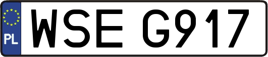 WSEG917