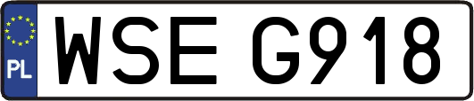 WSEG918