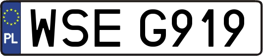 WSEG919
