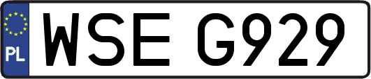 WSEG929