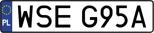 WSEG95A