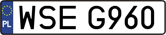 WSEG960
