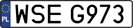 WSEG973