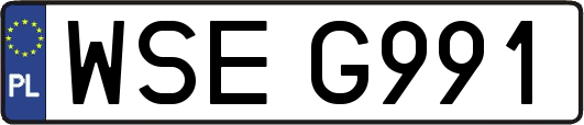 WSEG991