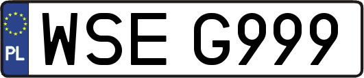 WSEG999