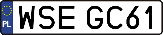 WSEGC61
