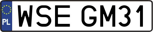 WSEGM31