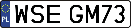 WSEGM73