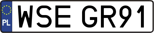 WSEGR91