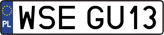 WSEGU13