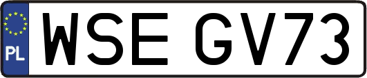 WSEGV73