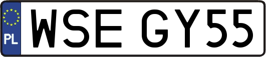 WSEGY55
