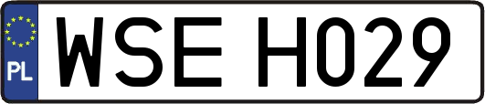 WSEH029