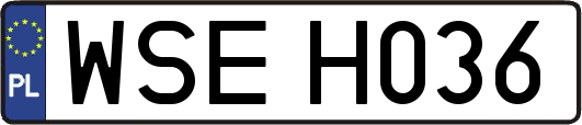 WSEH036
