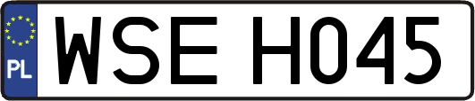 WSEH045