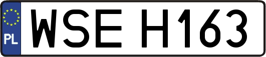 WSEH163