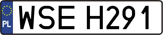 WSEH291