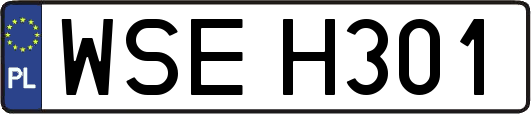 WSEH301