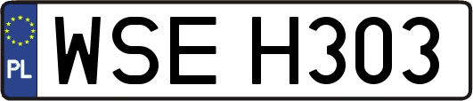 WSEH303