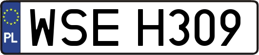 WSEH309