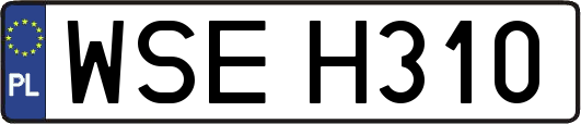 WSEH310
