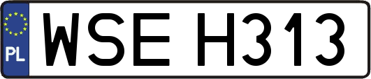 WSEH313
