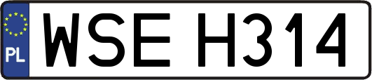 WSEH314